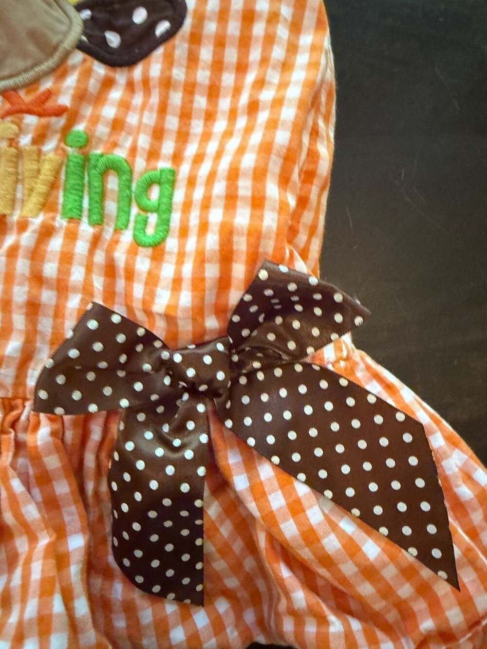 Lil Cactus Girls 1st Thanksgiving Turkey Applique Dress (6-12M) - Picture 4 of 7
